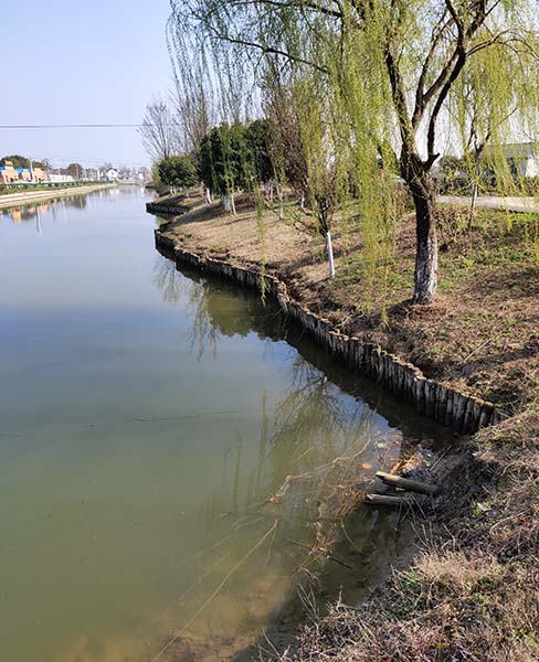 河道木樁